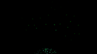 Momentaufnahme 2 (29.10.2014 18-18)